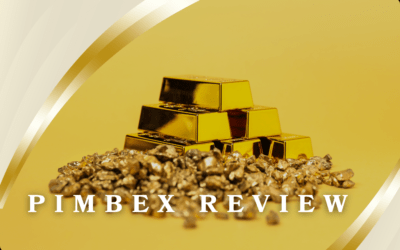 Pimbex Review: Is This Young Company Worth It in 2026?